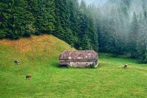 Ökologische Landwirtschaft für 100% Bio-Produkte